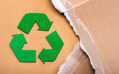 Verantwortung als Medizinproduktehersteller im LUCID Verpackungsregister – Nachhaltigkeit beginnt bei der Verpackung