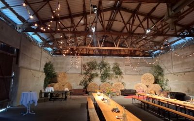 Sommerfest der Vanguard AG: Ein Tag voller Genuss und Inspiration bei Gut & Bösel