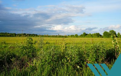 MedTech trifft Landwirtschaft: Agroforstprojekt