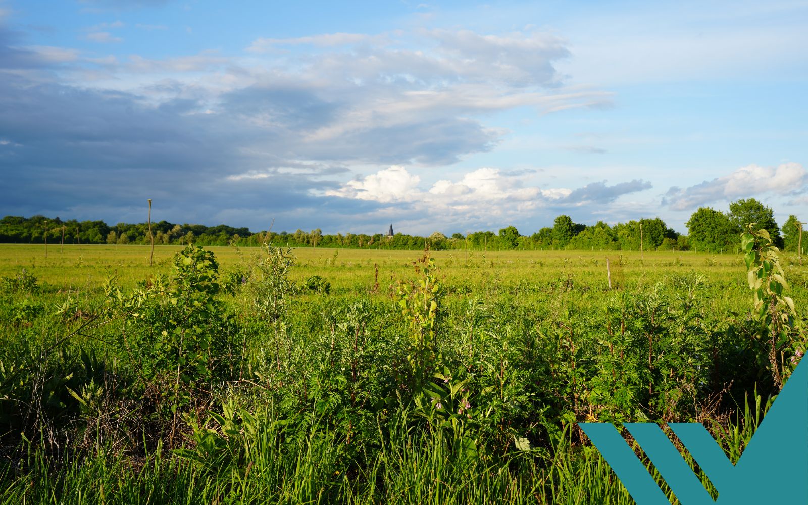 Blog post image header