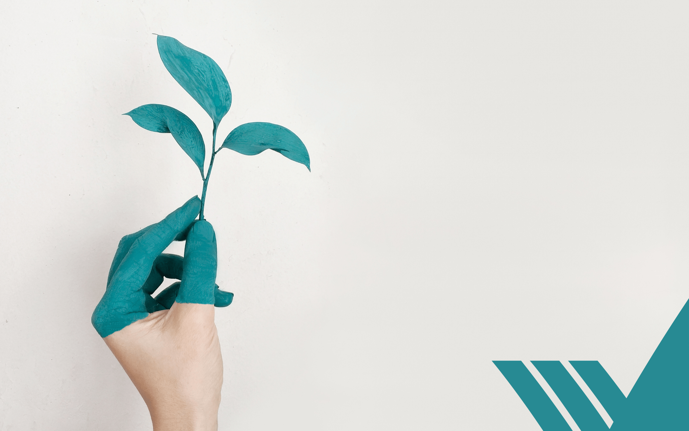Blog post image header
