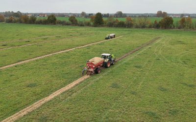 Agroforestry Project Update: A Diverse Ecosystem Is Taking Shape on Field 701